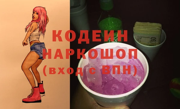 гашик Ладушкин