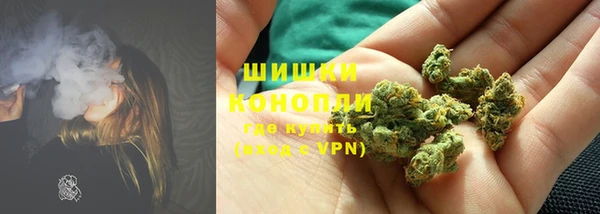 дживик Лагань