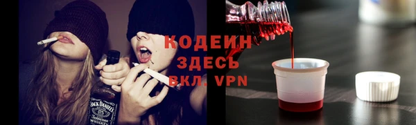 гашик Ладушкин