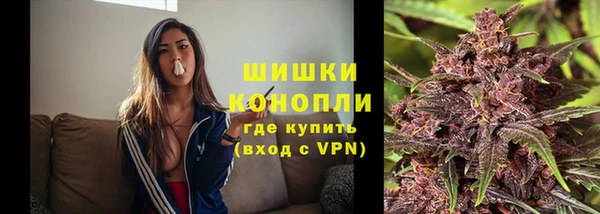 дживик Кулебаки