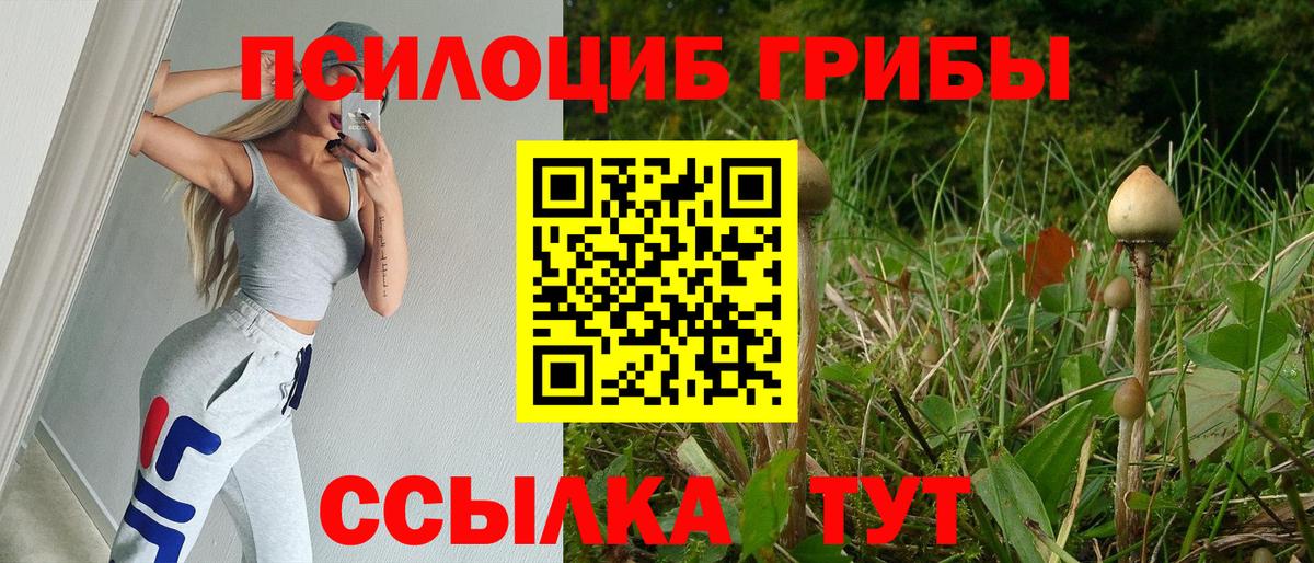 Галлюциногенные грибы Cubensis  Вход с VPN  Малгобек 