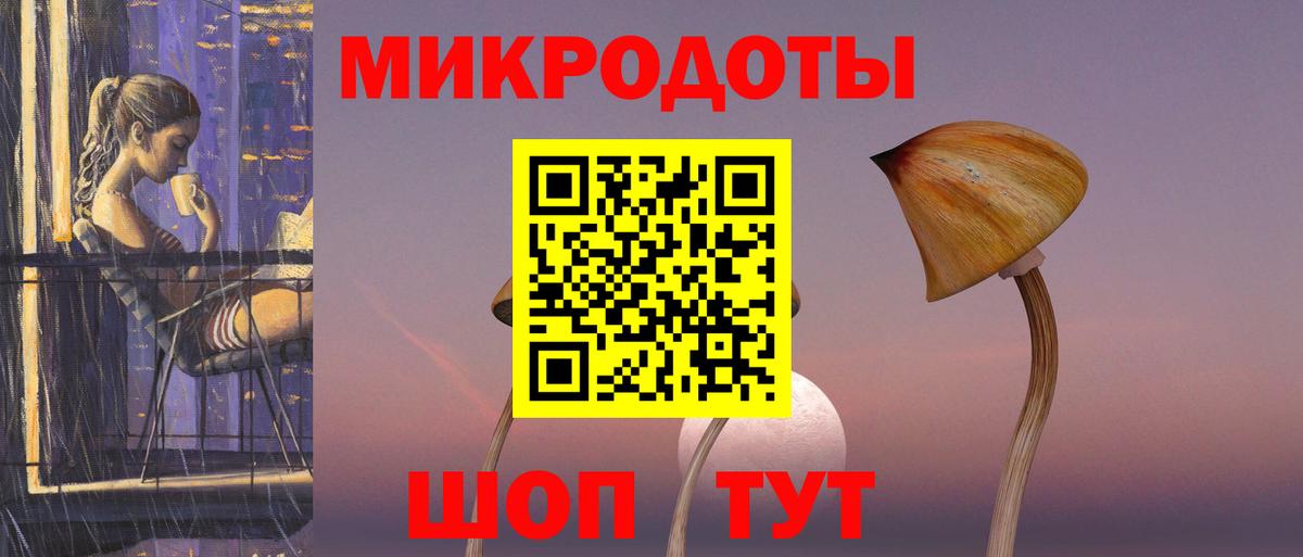 Галлюциногенные грибы Psilocybine cubensis Малгобек