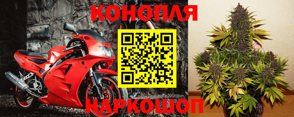 Конопля индика Малгобек