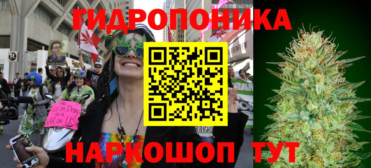 Марихуана OG Kush  Малгобек  Марихуана OG Kush 